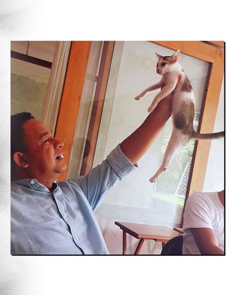 Instagram.com/pawswedan